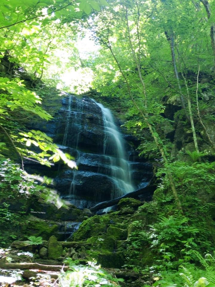 Waterfall at Oirase Stream, Aomori