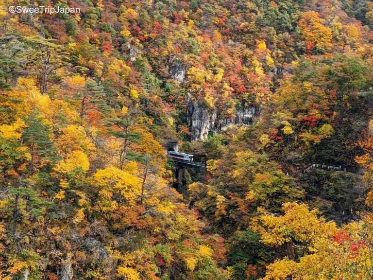 naruko gorge and train in autumn