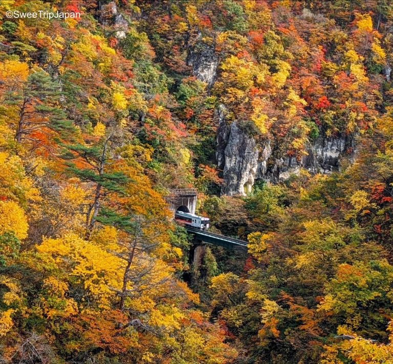 naruko gorge and train in autumn