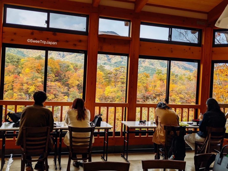 restaurant with autumn foliage view