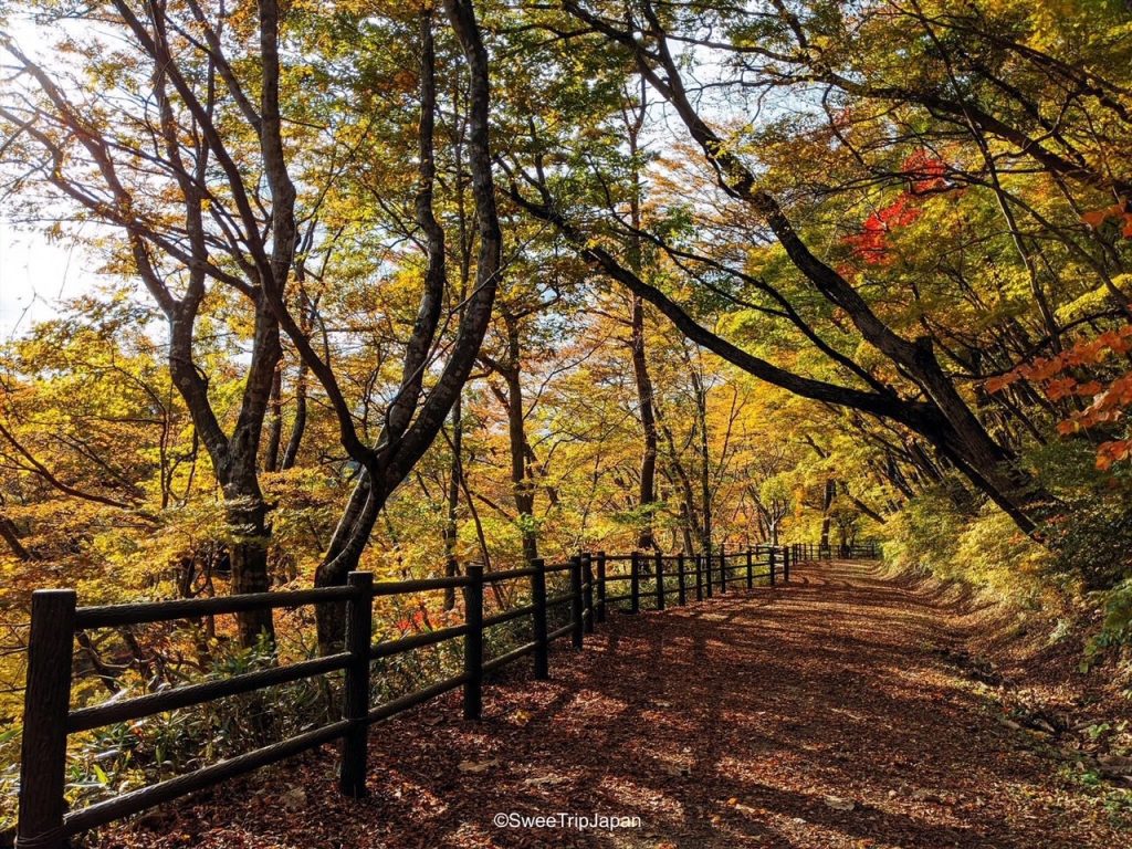 Naruko Gorge, Miyagi | SweeTrip Japan