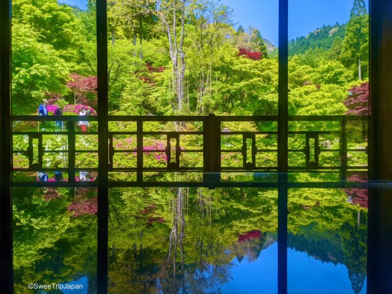 Kankyo Geijutsu No Mori, Saga Prefecture