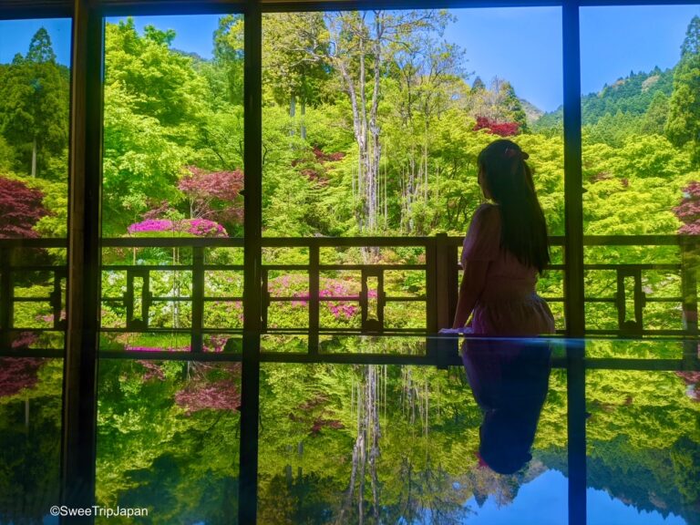 Kankyo Geijutsu No Mori, Saga Prefecture