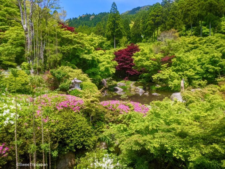 Kankyo Geijutsu No Mori, Saga Prefecture