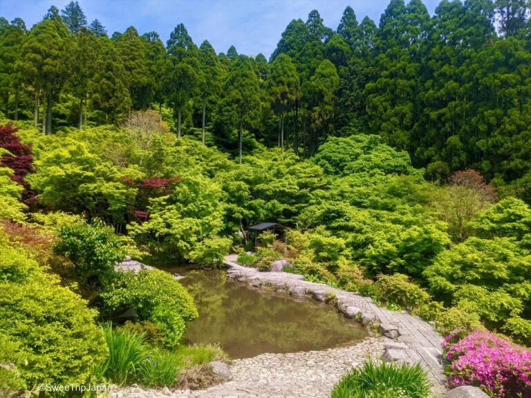 Kankyo Geijutsu No Mori, Saga Prefecture