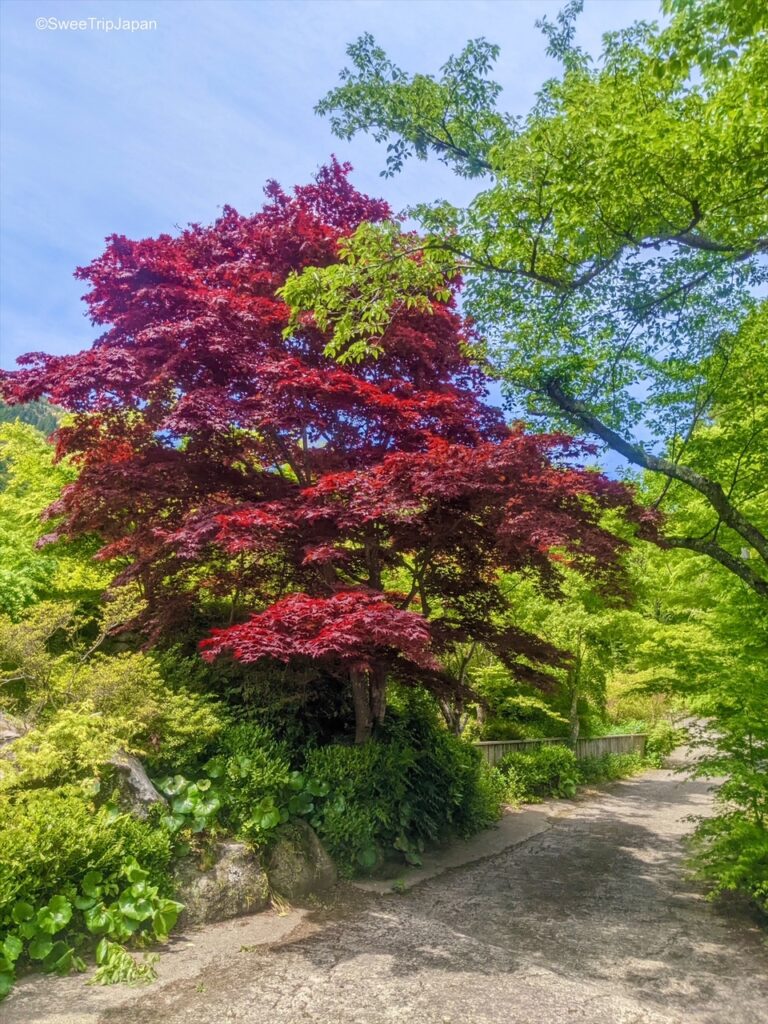 Kankyo Geijutsu No Mori, Saga Prefecture