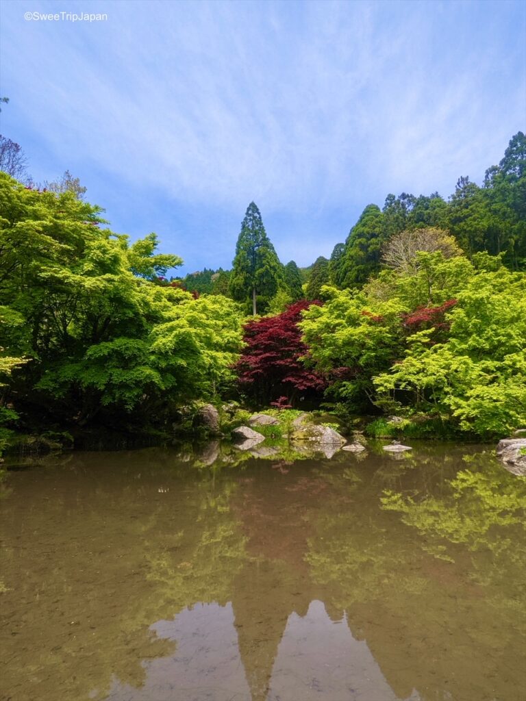 Kankyo Geijutsu No Mori, Saga Prefecture