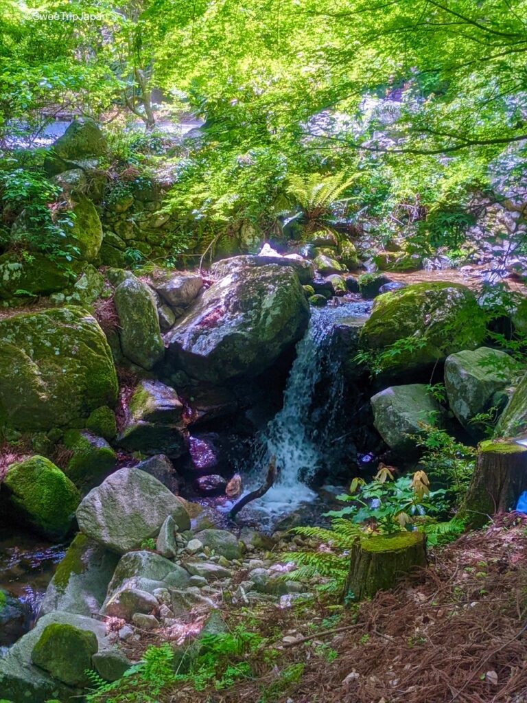 Kankyo Geijutsu No Mori, Saga Prefecture