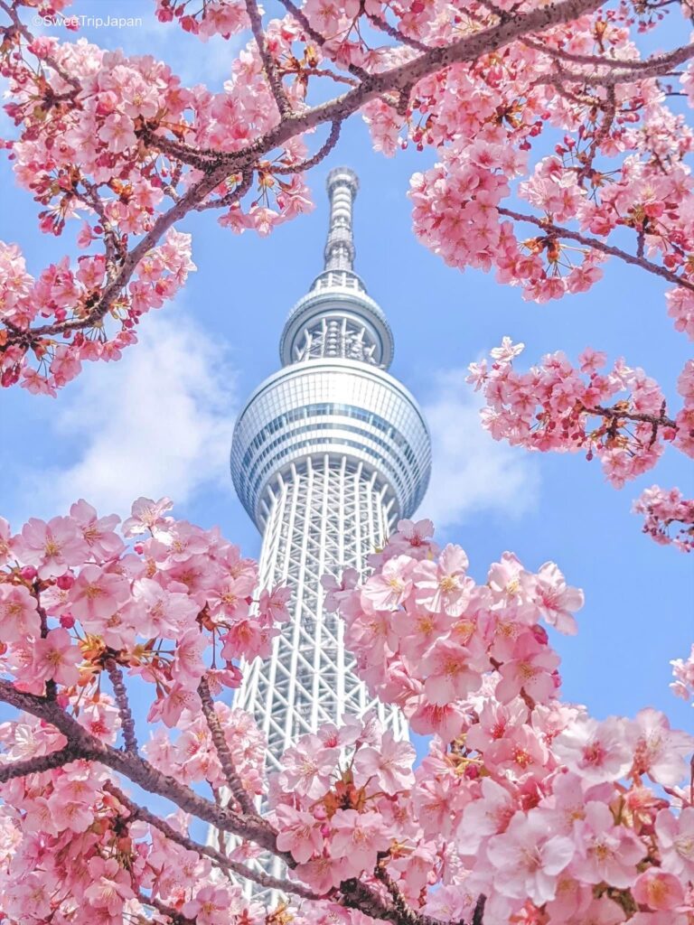 Tokyo Skytree (Tobu Bridge)