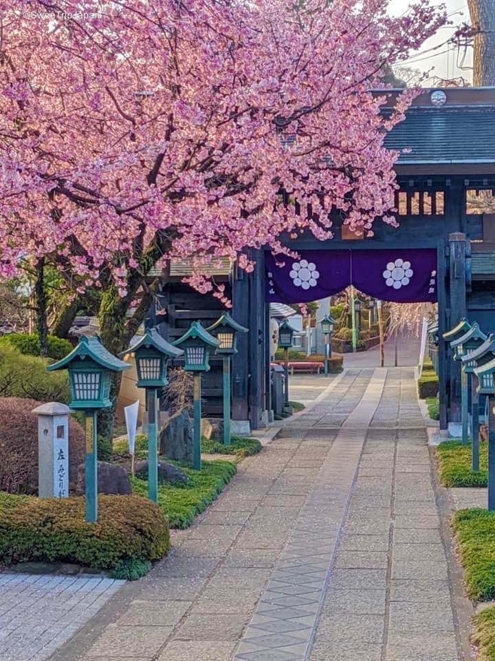 Mitsuzoin Temple