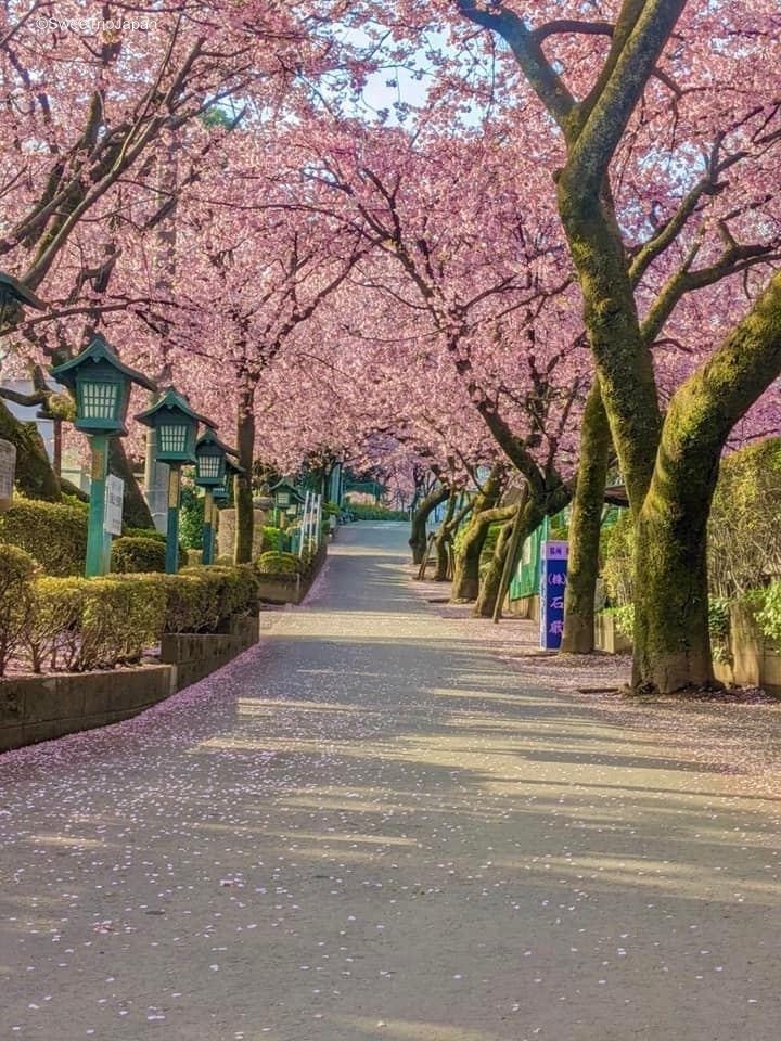 Mitsuzoin Temple