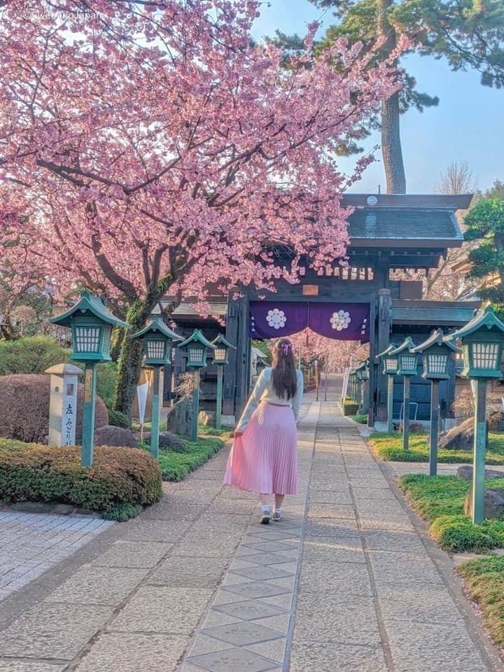 Mitsuzoin Temple