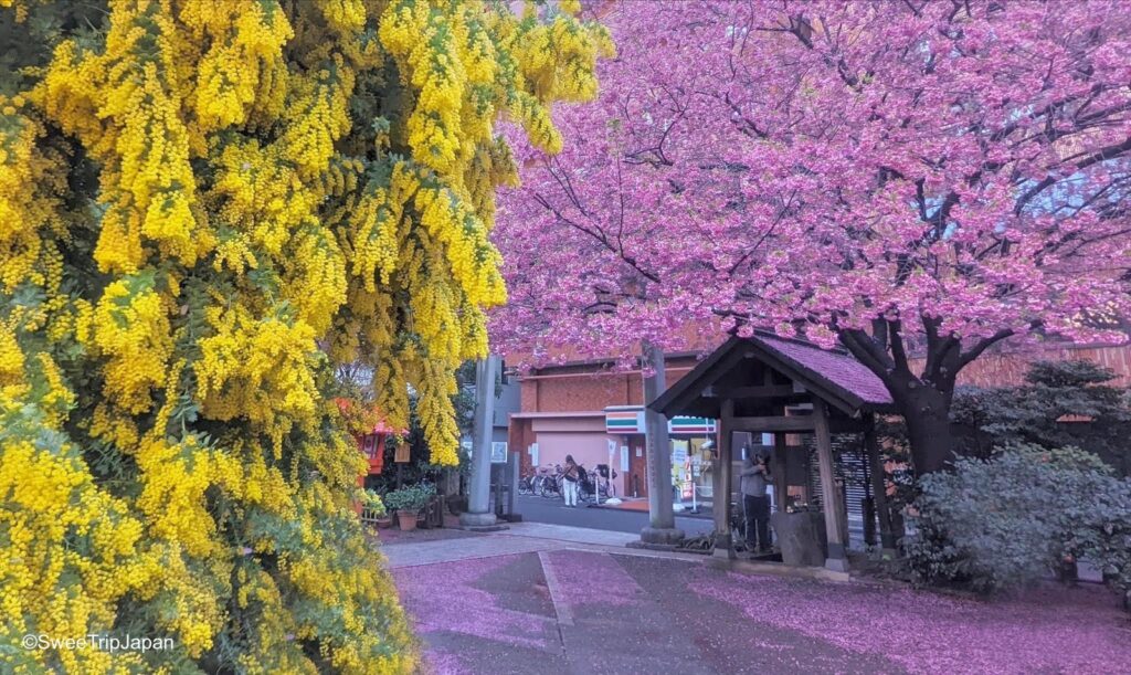 Kuramae Shrine