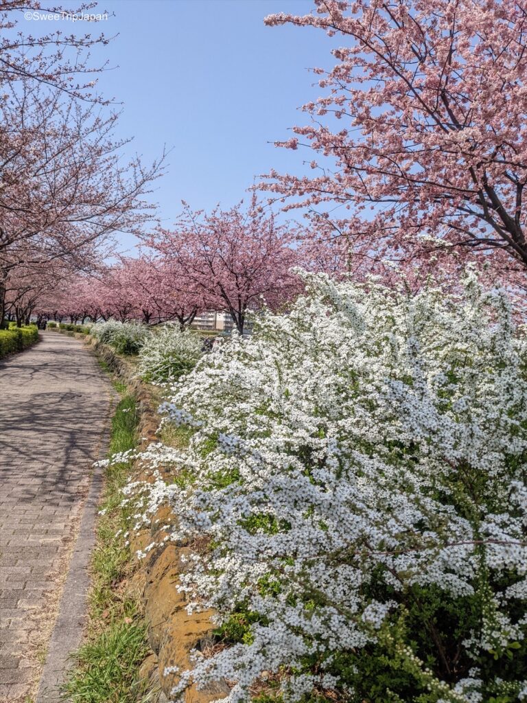 Shioiri Park