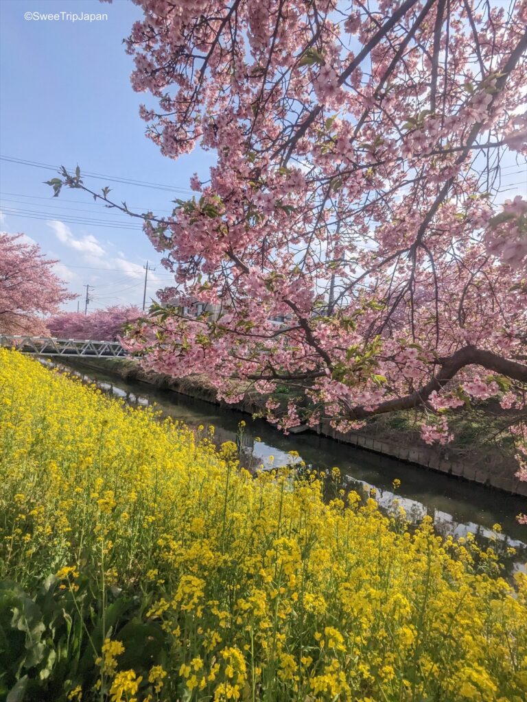 Aogehori River