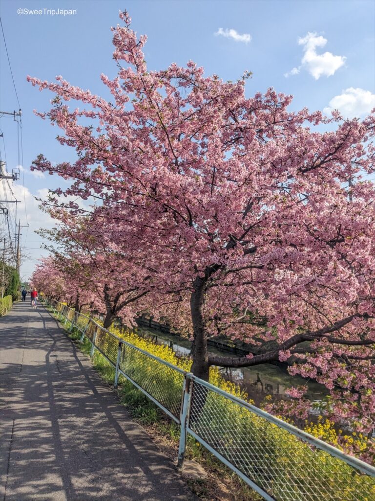 Aogehori River