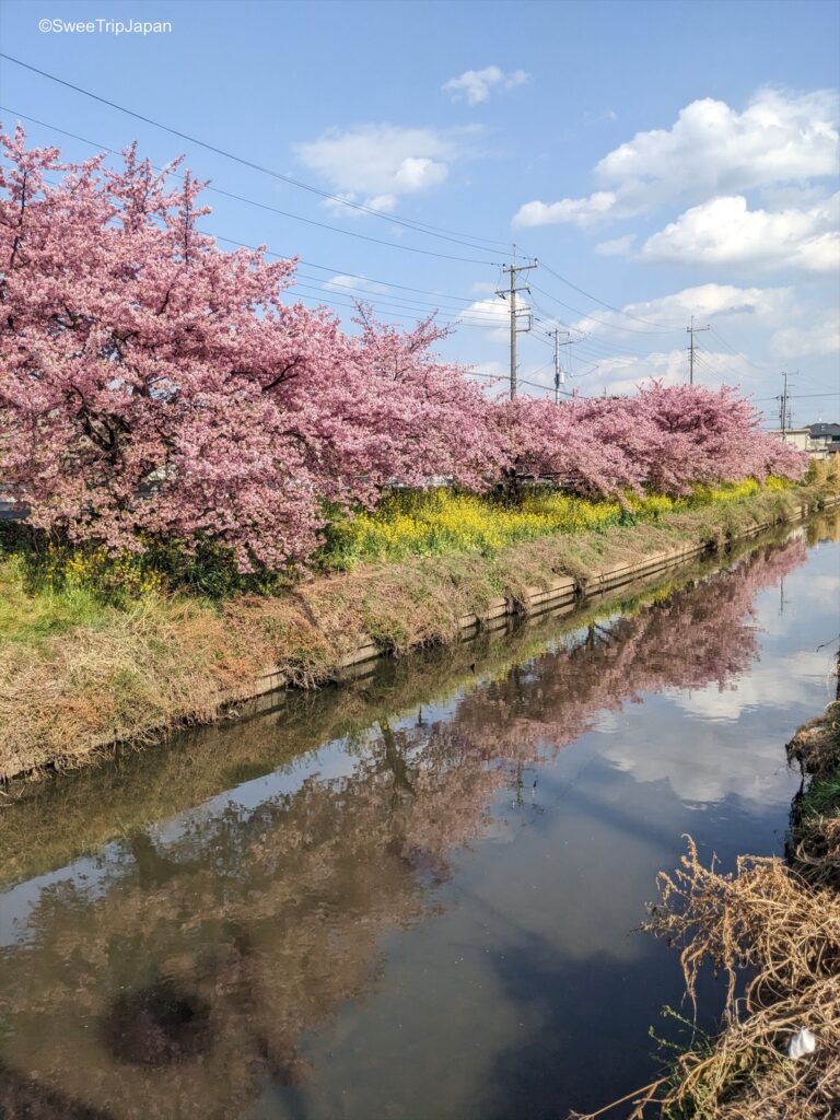 Aogehori River