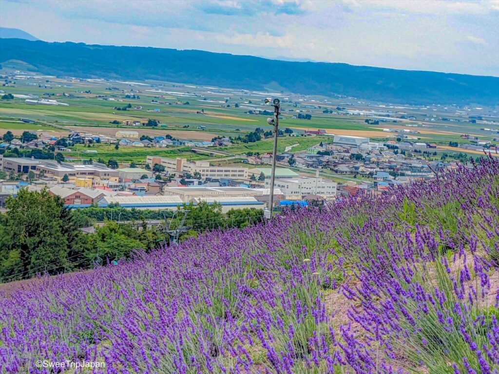 Nakafurano Hokuseiyama Lavender Fields