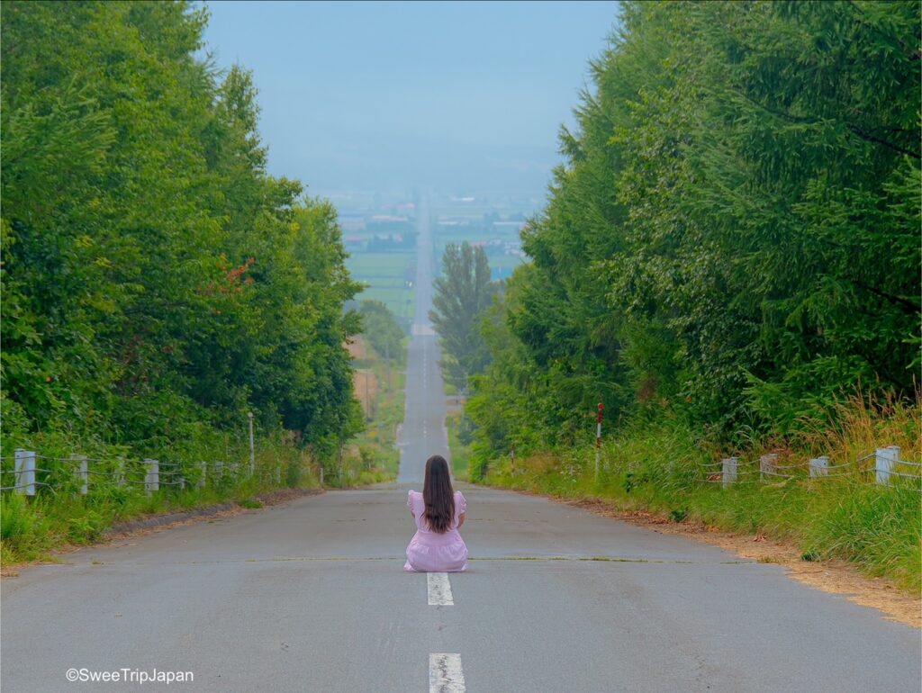 Hokkaido Panorama Roads